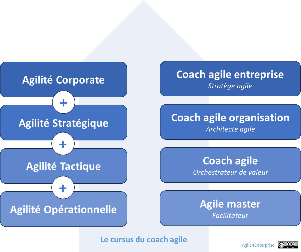 Le cursus du coach agile